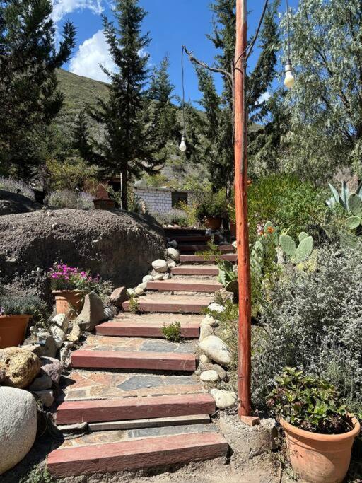 El bosque huajchilla - Casa de 5 dormitorios - 10