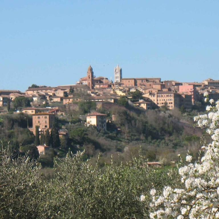 Agriturismo La Torretta - apt 4rooms with pool - Four-Bedroom Apartment - 32
