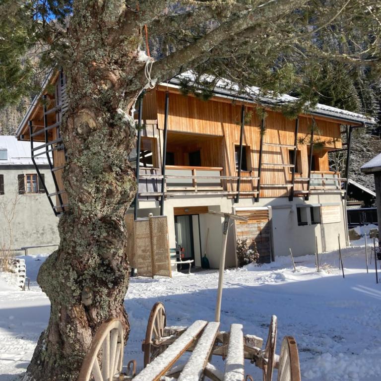 Chalet Walser à VALLORCINE 13 kms CHAMONIX France - Appartement 1 Chambre - 36