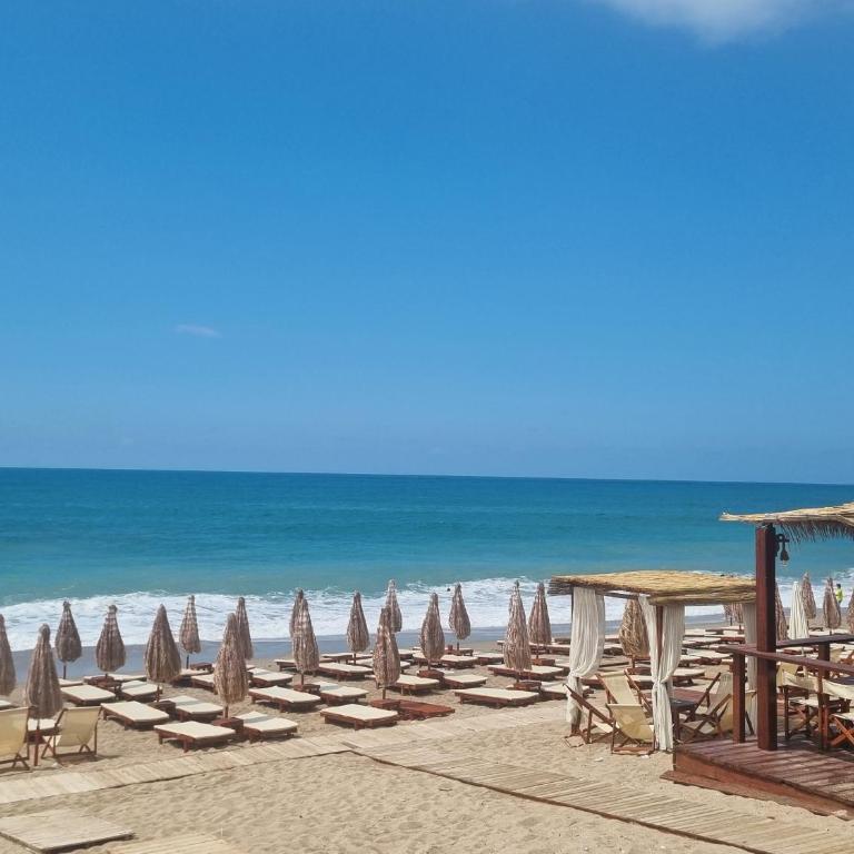 Apartman Harmony - Apartman sa 1 Spavaćom Sobom - 17