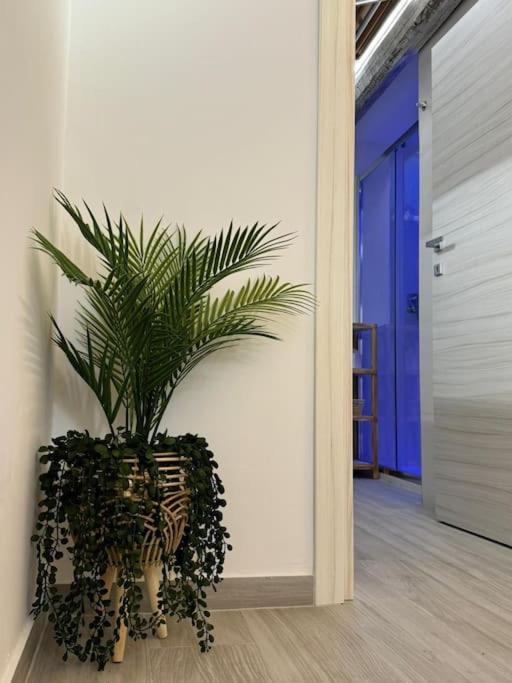 Samuele s home - Two-Bedroom House - 77