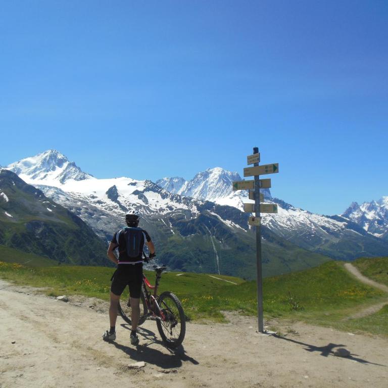Chalet Walser à VALLORCINE 13 kms CHAMONIX France - Appartement 1 Chambre - 39