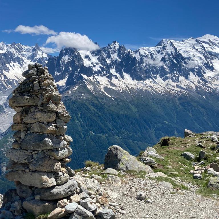 Chalet Walser à VALLORCINE 13 kms CHAMONIX France - Appartement 1 Chambre - 42