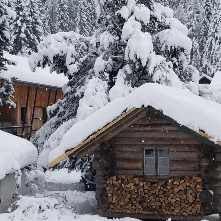 Chalet Walser à VALLORCINE 13 kms CHAMONIX France - Appartement 1 Chambre - 50