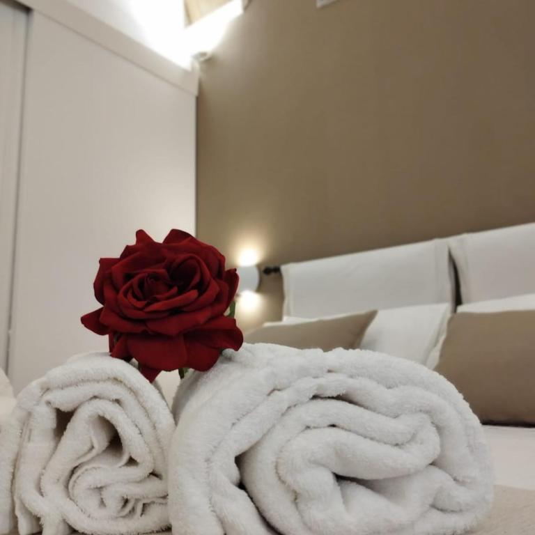 Dimora delle rose - Casa con 1 Camera da Letto - 4