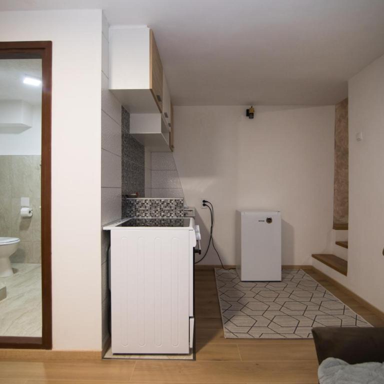 Apartman Božur - Apartman sa Terasom - 10