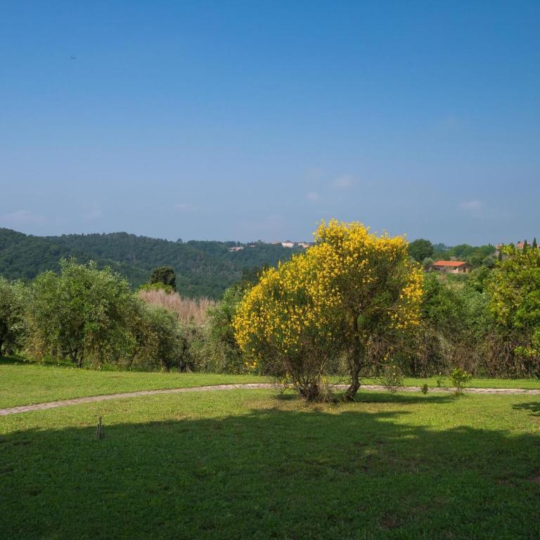 Tuscany Stay with Pool - Casa Vacanze - 28