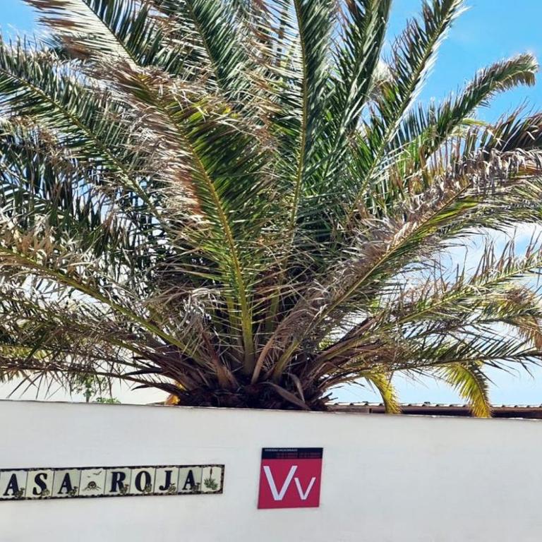 2 bedrooms - quiet location - pool - Adults only - Apartamento de 2 dormitorios con balcón y terraza - 12