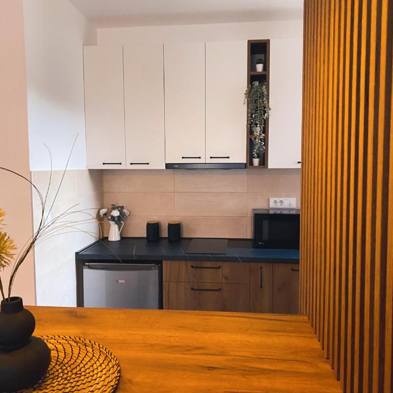 Elena Apartman - Apartman sa 1 Spavaćom Sobom - 4