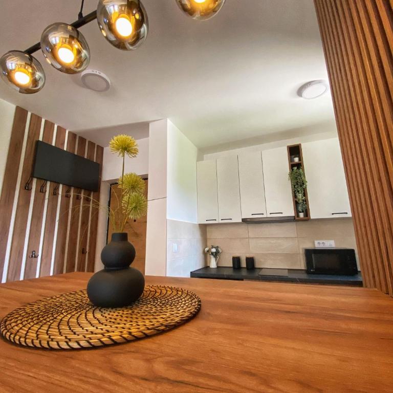 Elena Apartman - Apartman sa 1 Spavaćom Sobom - 10
