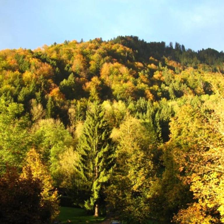 Aparte 3-Zi-Wohnung im Oberallgäu direkt am Berg! - Apartment mit 2 Schlafzimmern - 39