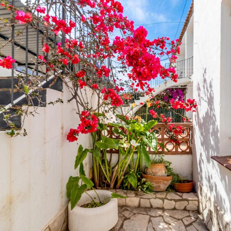 Fener de Baix 81 - Apartamento primera línea mar - Apartamento de 2 dormitorios - 18