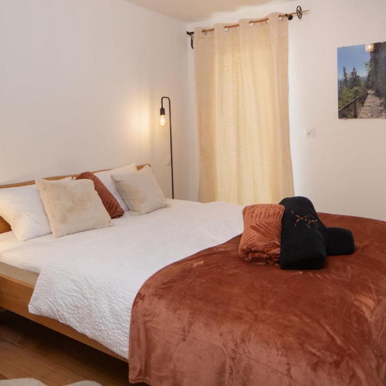 Pilanous Residence - Junior Suite - Swiss Alps - Apartment with Balcony - 12