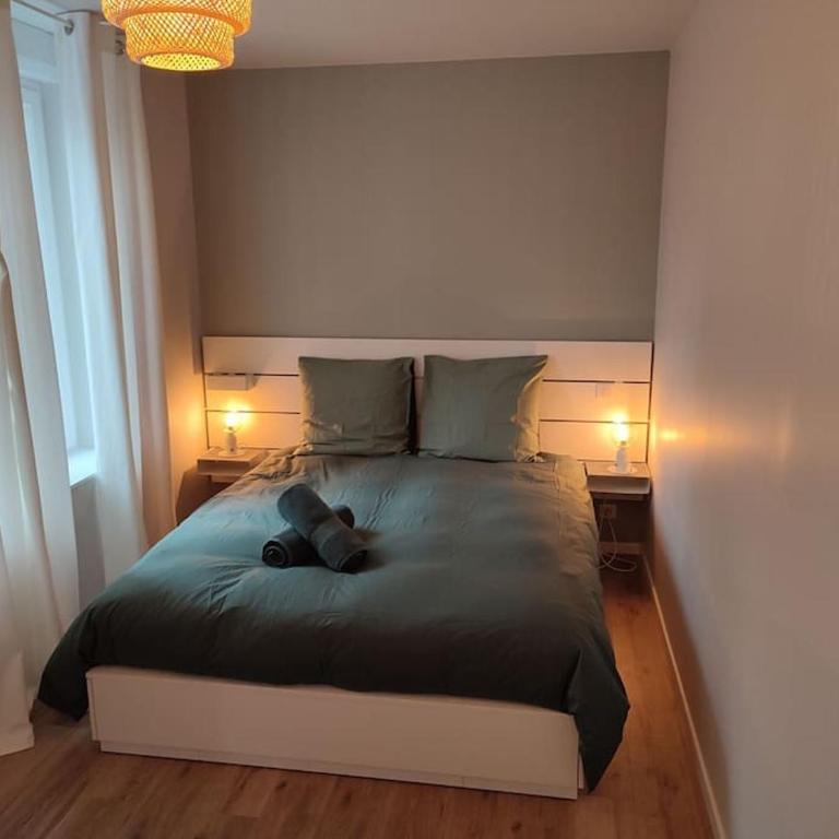 la loge nature de la friche DMC - Apartment mit 1 Schlafzimmer - 3