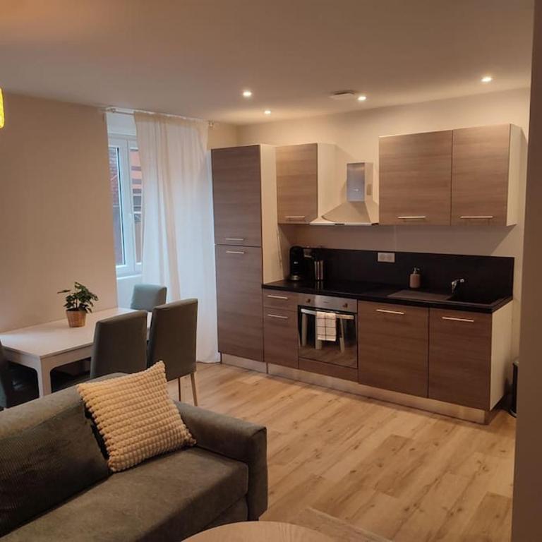 la loge nature de la friche DMC - Apartment mit 1 Schlafzimmer - 7