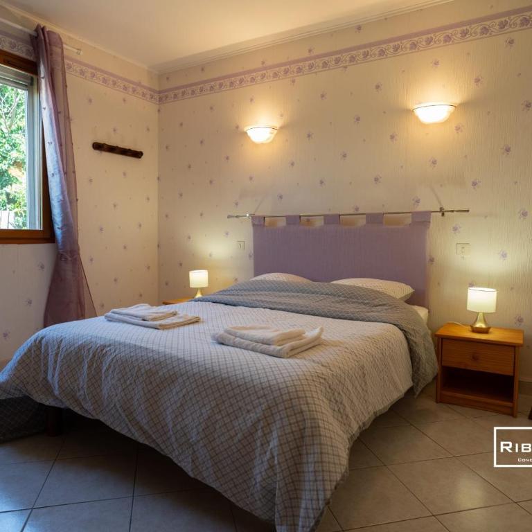 Riboleys - Maison avec clim et grand jardin - Maison 1 Chambre - 10