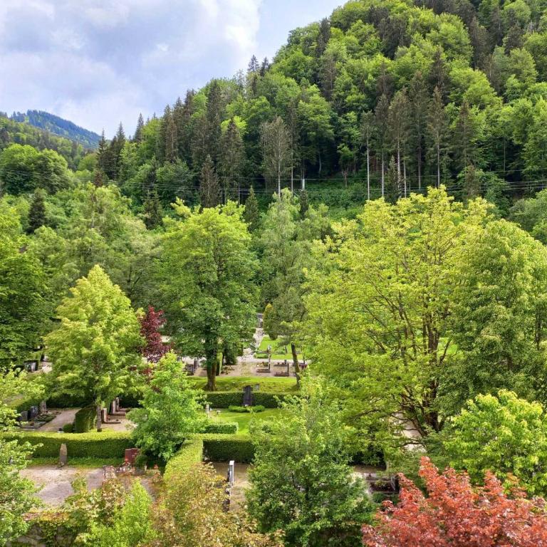 Aparte 3-Zi-Wohnung im Oberallgäu direkt am Berg! - Apartment mit 2 Schlafzimmern - 22