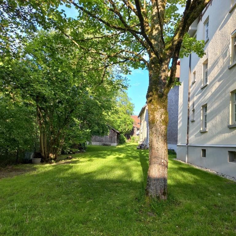 Aparte 3-Zi-Wohnung im Oberallgäu direkt am Berg! - Apartment mit 2 Schlafzimmern - 25