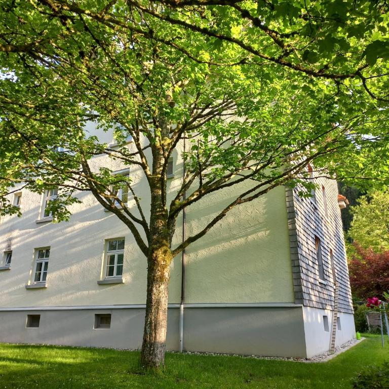 Aparte 3-Zi-Wohnung im Oberallgäu direkt am Berg! - Apartment mit 2 Schlafzimmern - 26