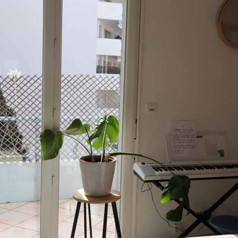 Antibes/Juan les pins, cosy apartment - Apartment mit 1 Schlafzimmer - 15