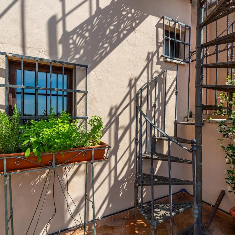 iFlat Campo de' Fiori Panoramic Penthouse - Appartamento con 1 Camera da Letto - 33