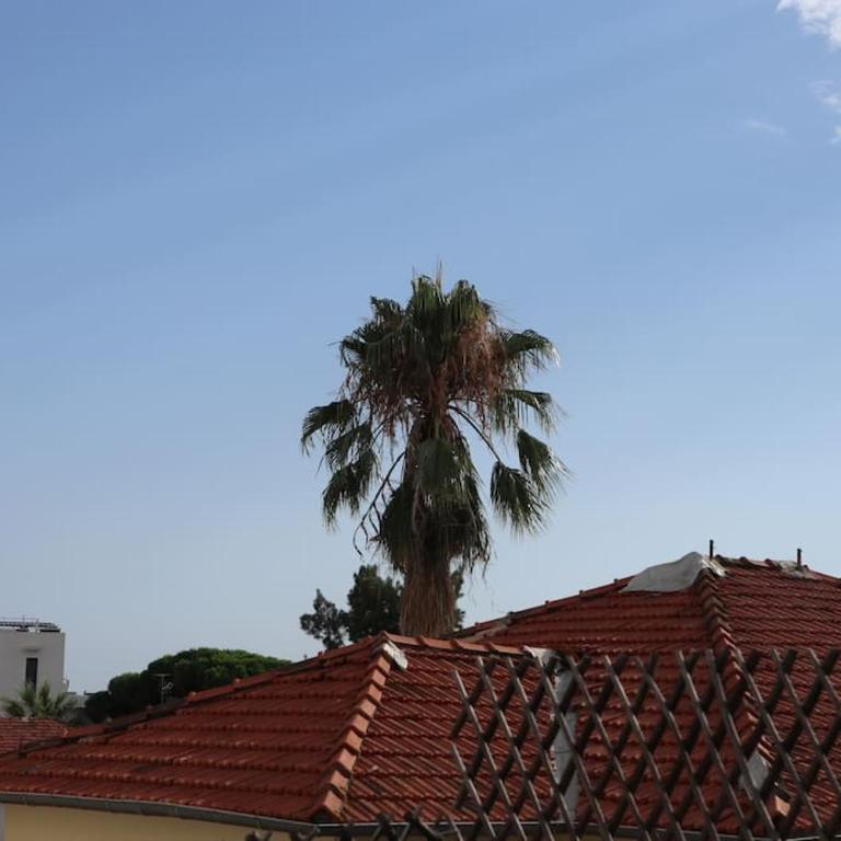 Antibes/Juan les pins, cosy apartment - Apartment mit 1 Schlafzimmer - 8
