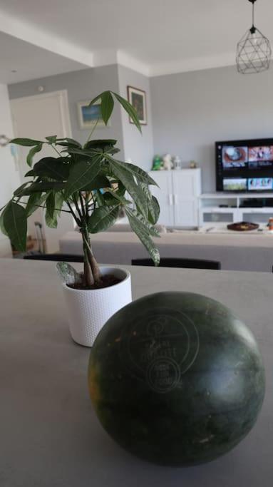 Antibes/Juan les pins, cosy apartment - Apartment mit 1 Schlafzimmer - 1