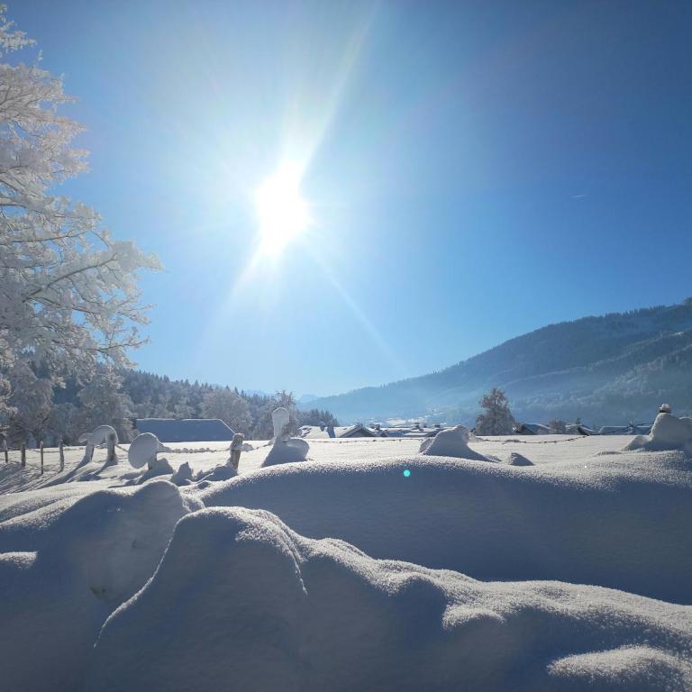 Aparte 3-Zi-Wohnung im Oberallgäu direkt am Berg! - Apartment mit 2 Schlafzimmern - 17