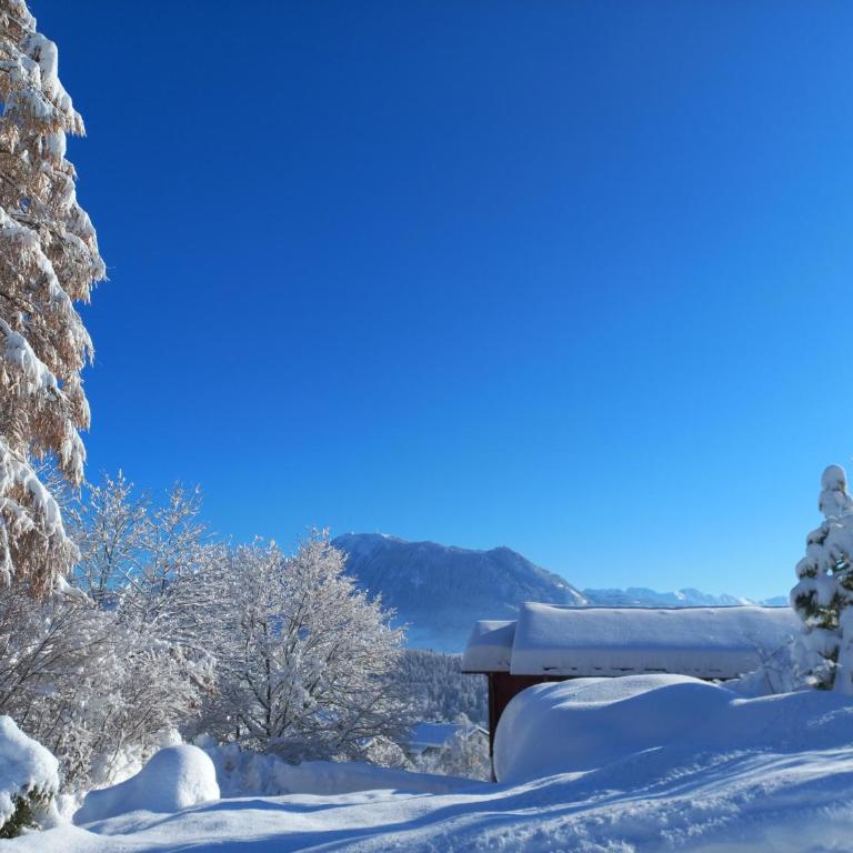Aparte 3-Zi-Wohnung im Oberallgäu direkt am Berg! - Apartment mit 2 Schlafzimmern - 19