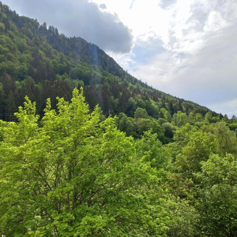 Aparte 3-Zi-Wohnung im Oberallgäu direkt am Berg! - Apartment mit 2 Schlafzimmern - 23