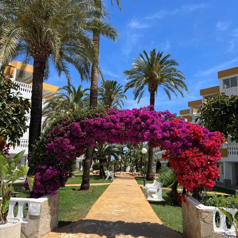 Holiday Beach - Apartamento de 2 dormitorios - 46