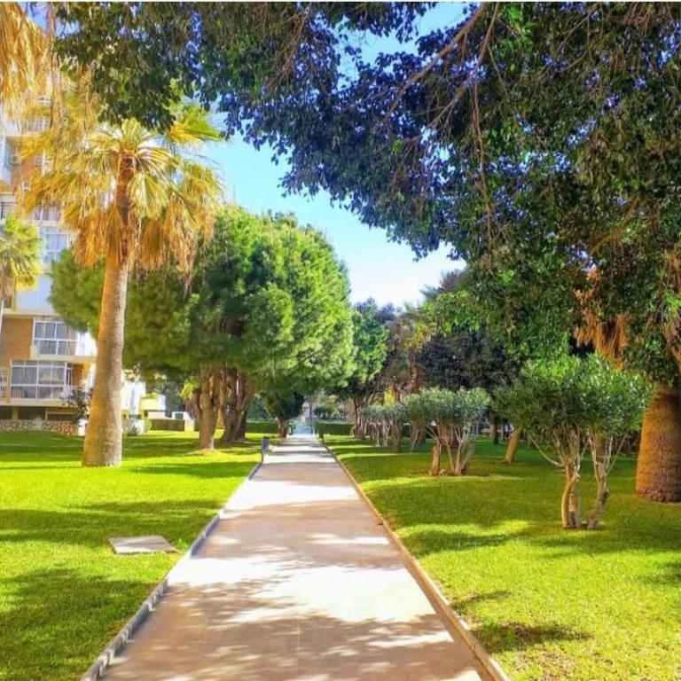 Agata Sunset - One-Bedroom Apartment - 13