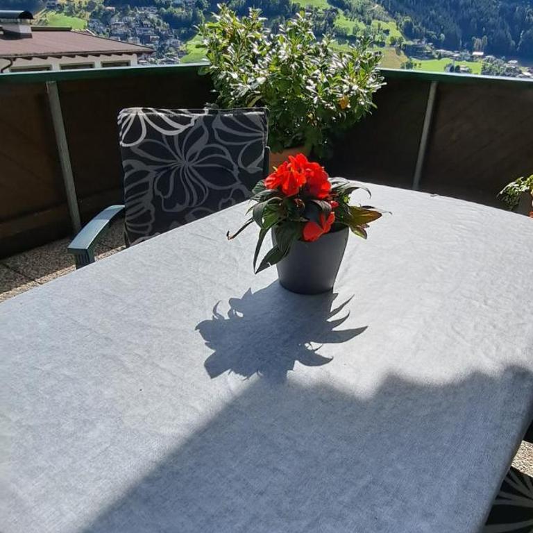 Ferienwohnung Steinberger - Apartment mit 1 Schlafzimmer und Terrasse - 33