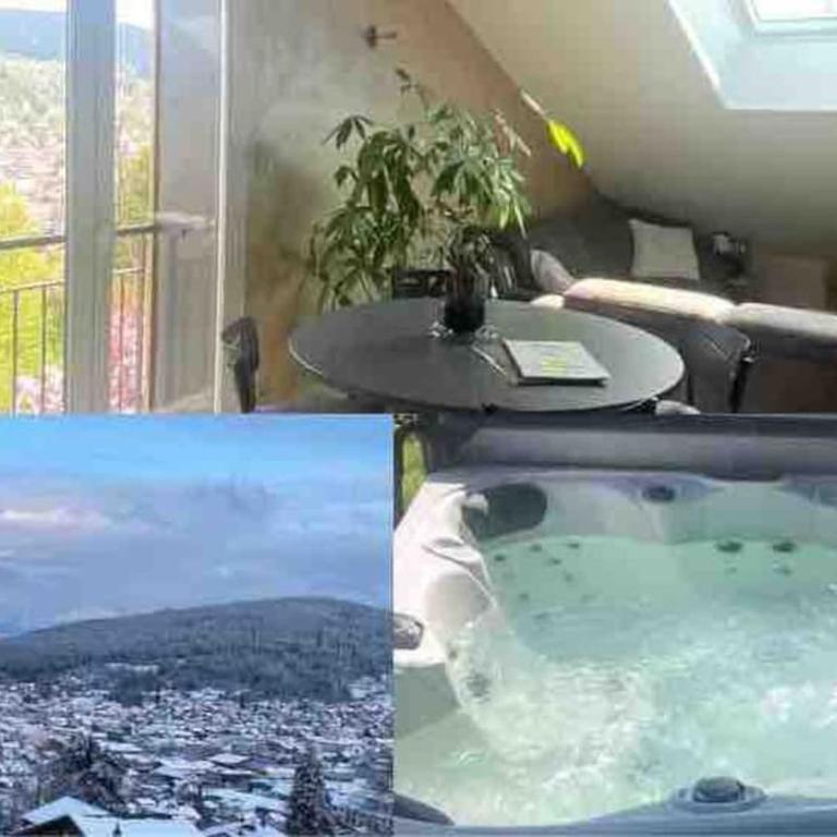 appartement la fleur d'abeille avec une belle vue et spa - Appartement 1 Chambre - 1