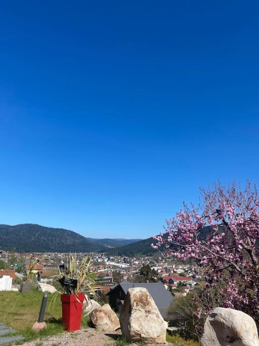 appartement la fleur d'abeille avec une belle vue et spa - Appartement 1 Chambre - 30