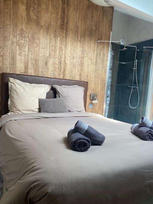 appartement la fleur d'abeille avec une belle vue et spa - Appartement 1 Chambre - 15
