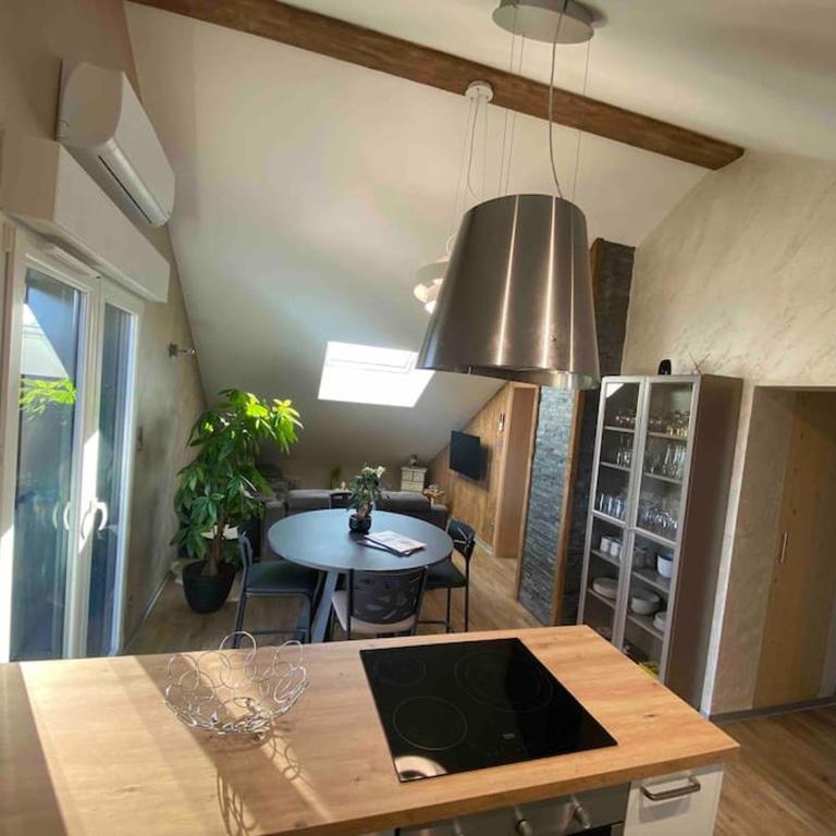 appartement la fleur d'abeille avec une belle vue et spa - Appartement 1 Chambre - 7