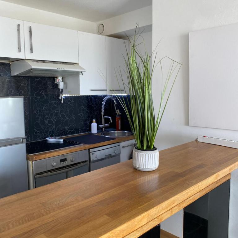 Appartement Lumineux Camargue - Apartment mit 1 Schlafzimmer - 12