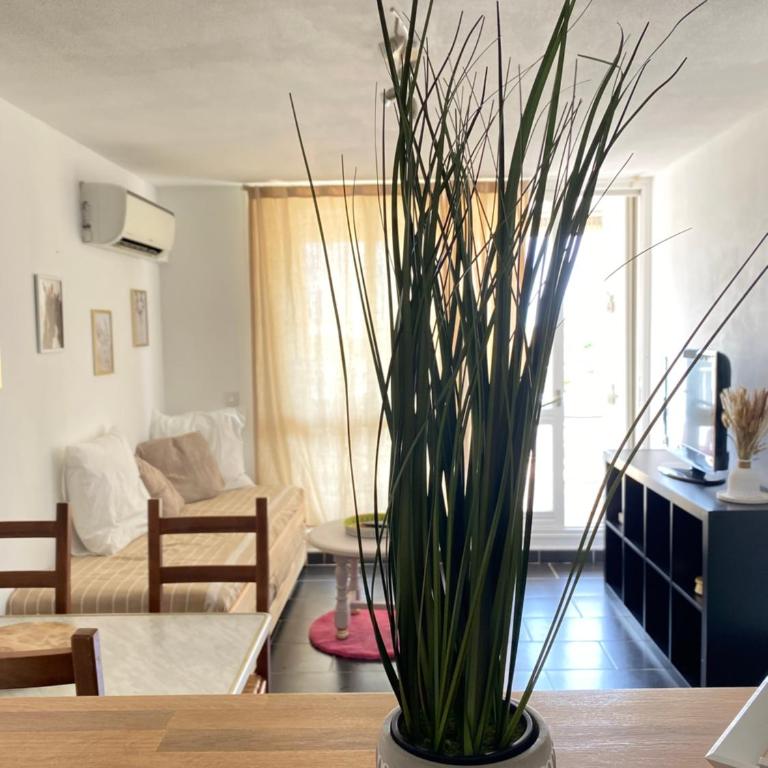 Appartement Lumineux Camargue - Apartment mit 1 Schlafzimmer - 13
