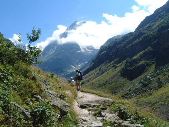 Chalet Silene - Chalet 3 Chambres - 26