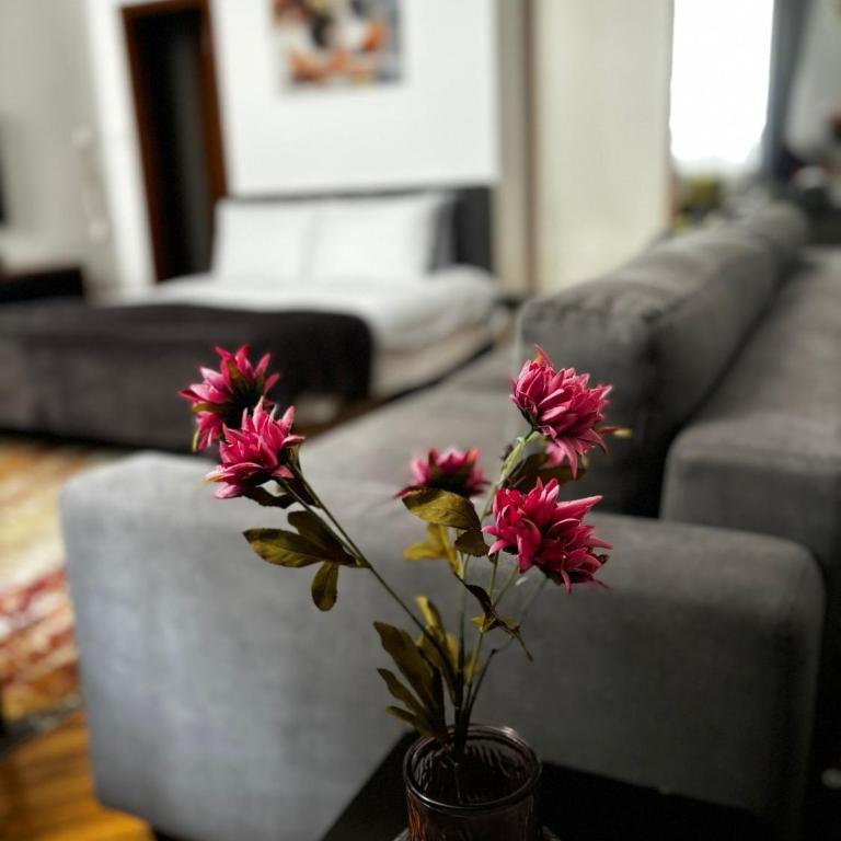 Apartman Mila Stari grad - Apartment - 4