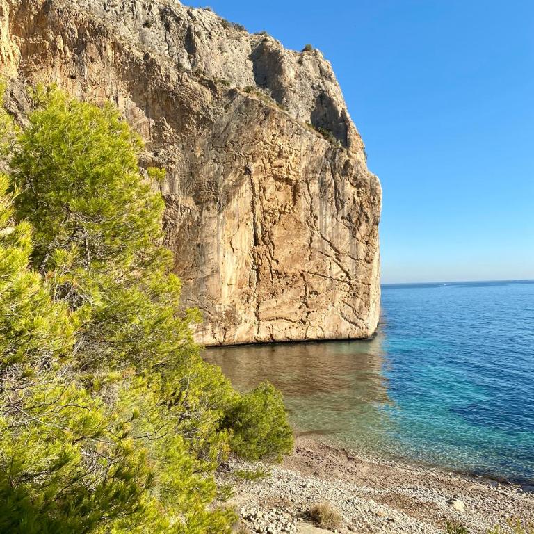 Natalie Calpe Sun 100m to the Beach center - Apartamento de 1 dormitorio - 40