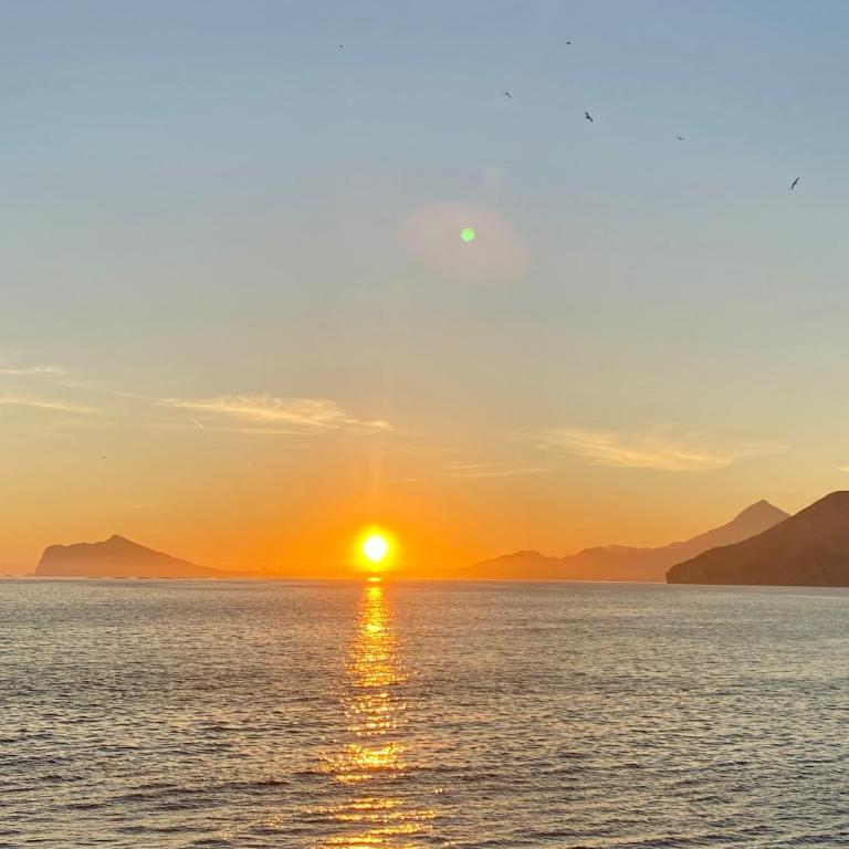 Natalie Calpe Sun 100m to the Beach center - Apartamento de 1 dormitorio - 42