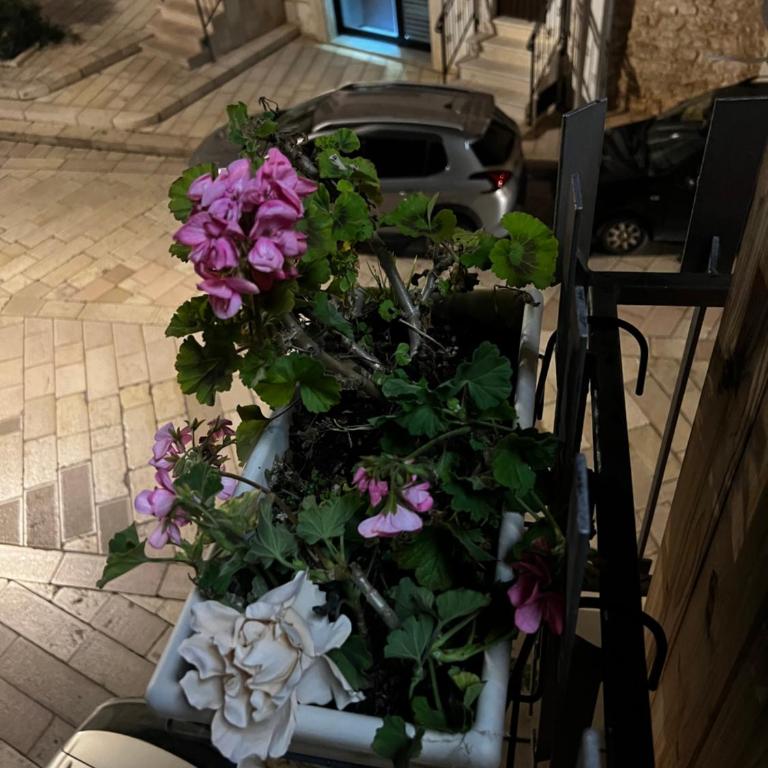 Una Biancasa - Casa con 1 Camera da Letto - 89