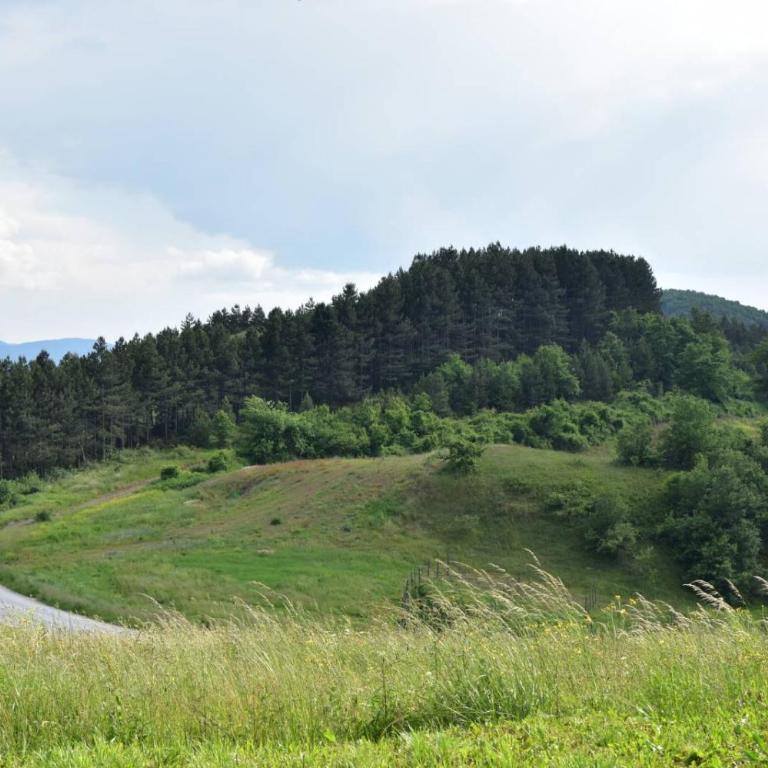 Kucica od drveta 1 - Two-Bedroom House - 54