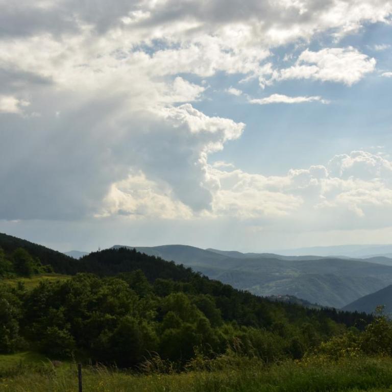 Kucica od drveta 1 - Two-Bedroom House - 58