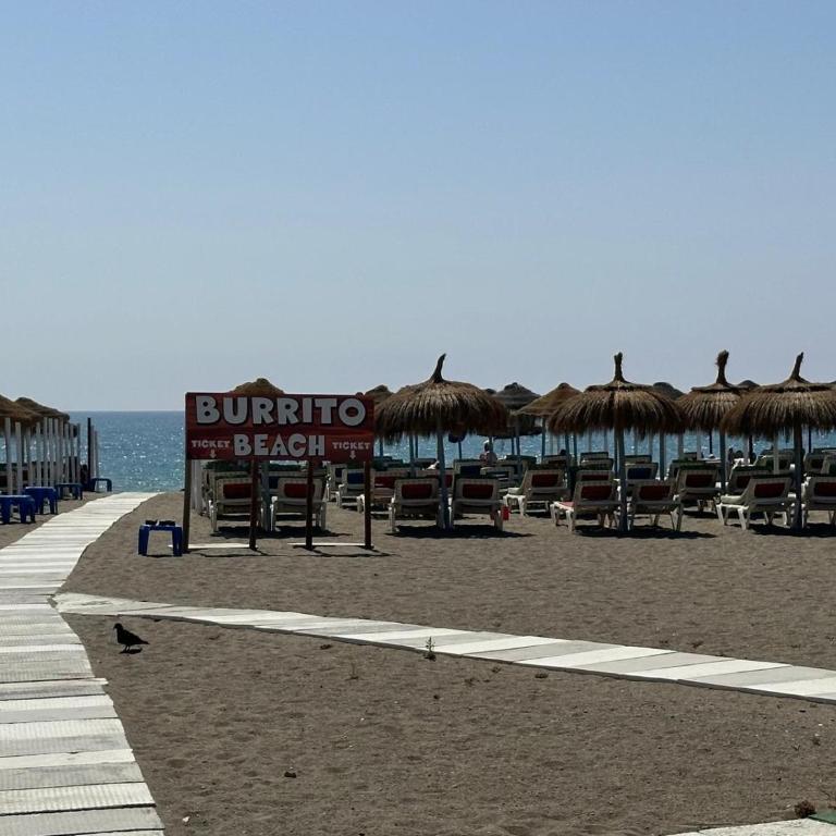 Gaviotas Beach - Apartamento de 1 dormitorio - 13