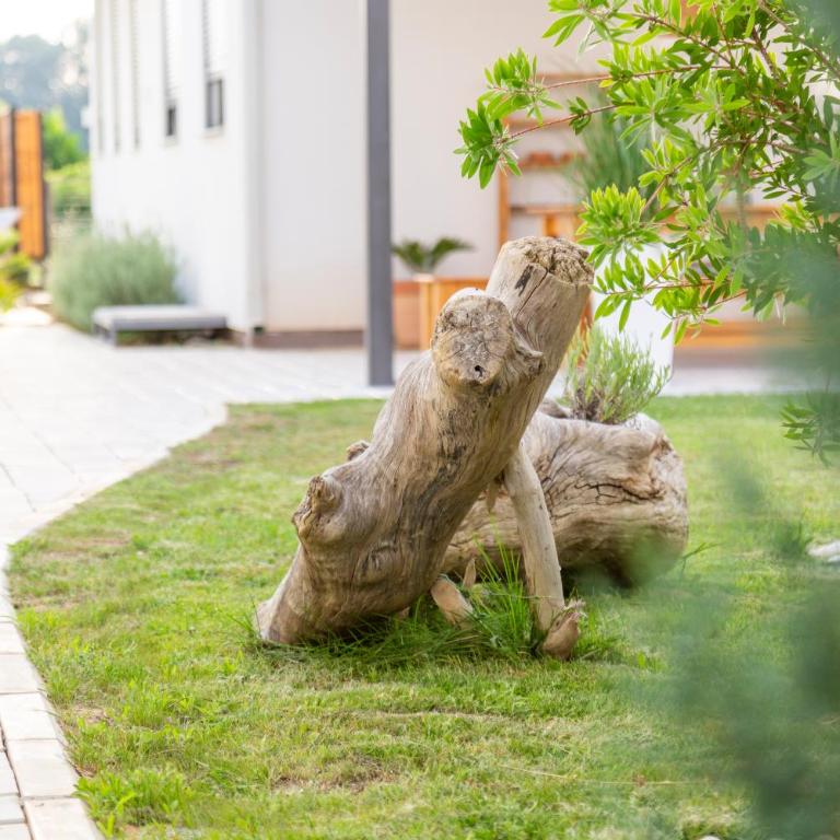 Kiteriders Garden Villas - Apartman sa 1 Spavaćom Sobom - 16
