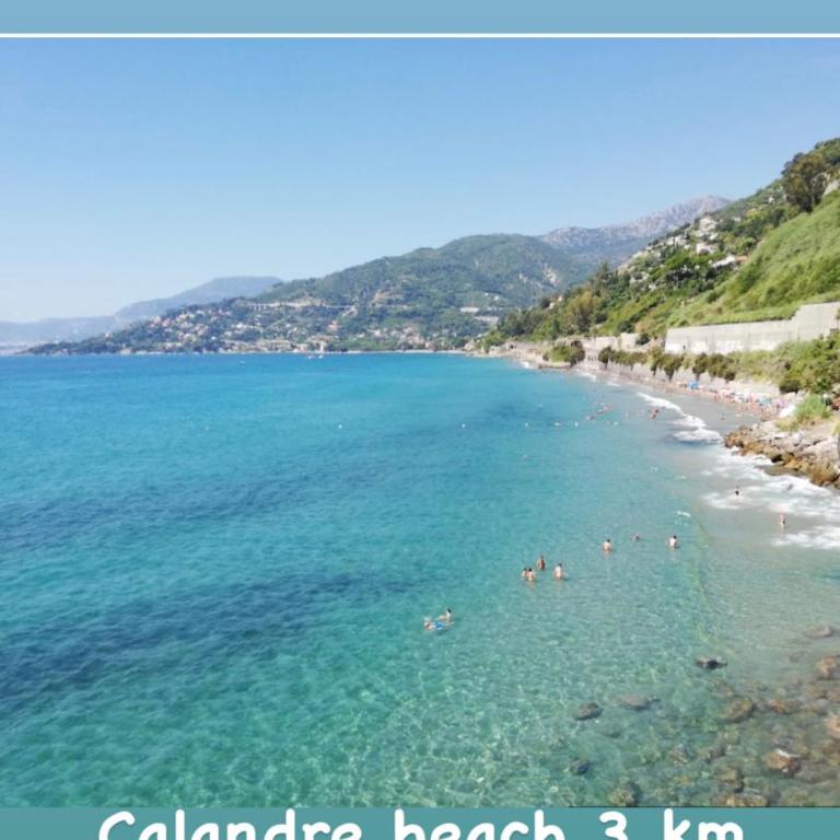 Appartamento un mare di fiori - Appartamento con Terrazza - 36