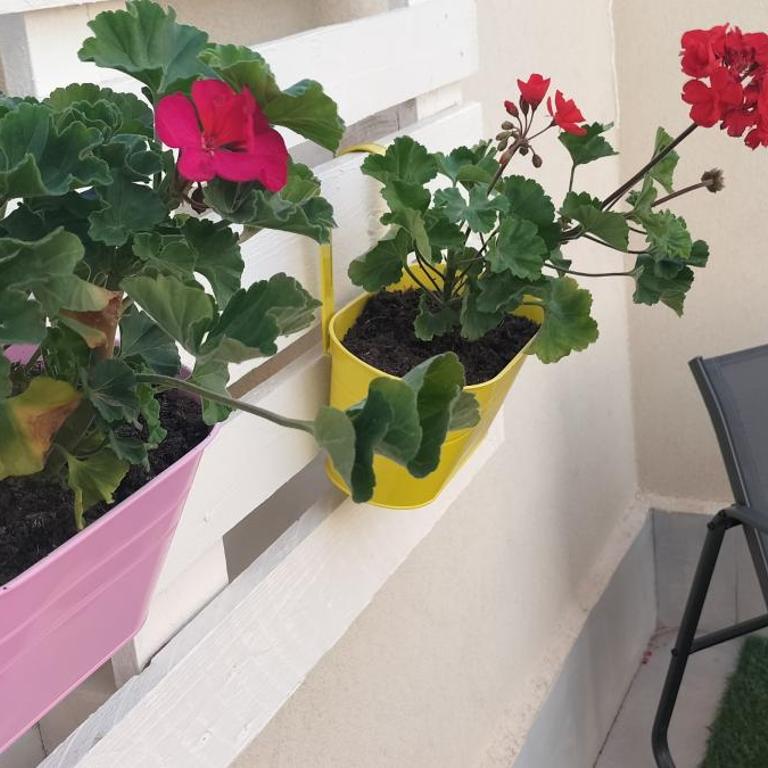 Perla marina - Appartamento con 2 Camere da Letto e Terrazza - 8